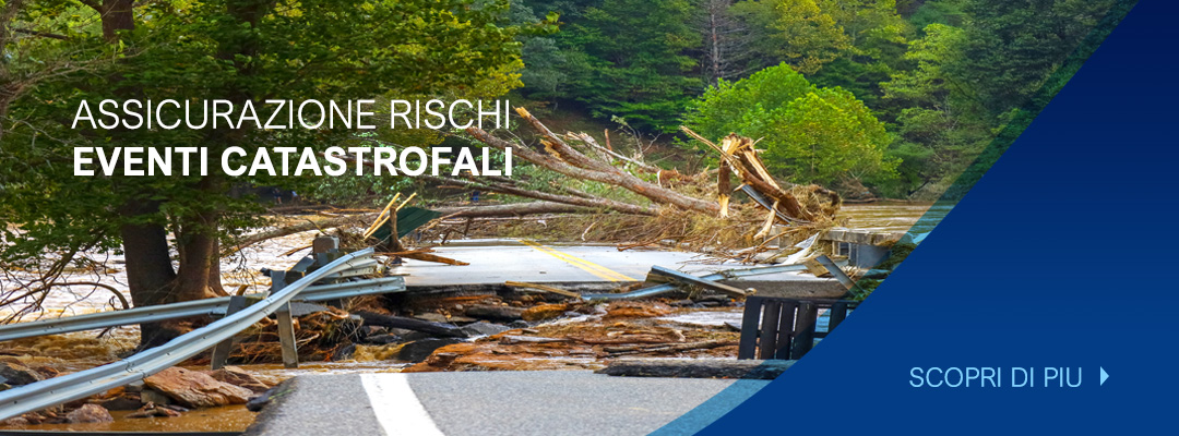 Assicurazione rischi eventi catastrofali